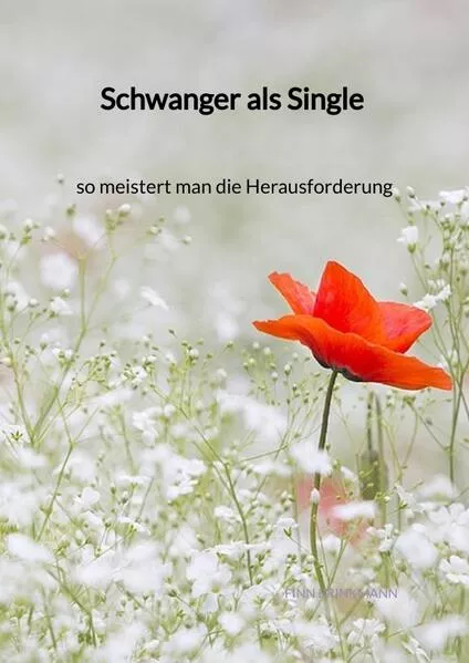 Cover: Schwanger als Single - so meistert man die Herausforderung