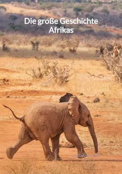 Cover: Die große Geschichte Afrikas