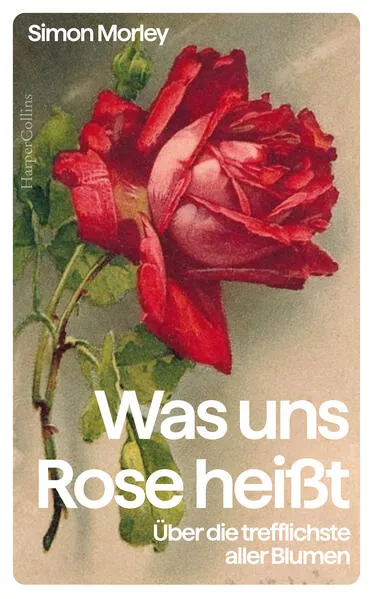 »Was uns Rose heißt«. Über die trefflichste aller Blumen