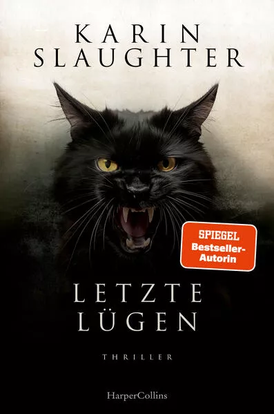 Cover: Letzte Lügen