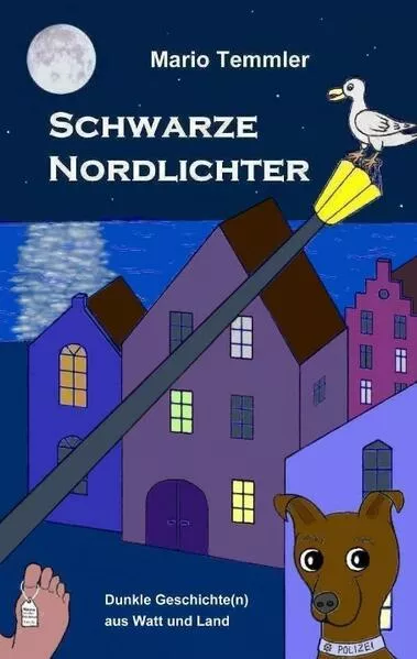 Cover: Schwarze Nordlichter