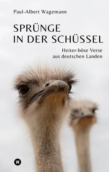 Cover: Sprünge in der Schüssel - 148 zeitgeistkritische Gedichte im Stil von Limericks