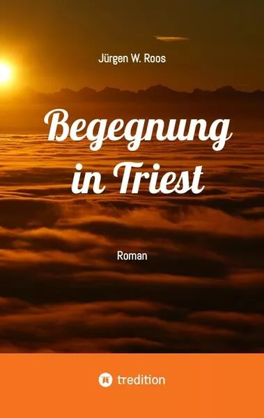 Cover: Begegnung in Triest - Ein spannender Politthriller