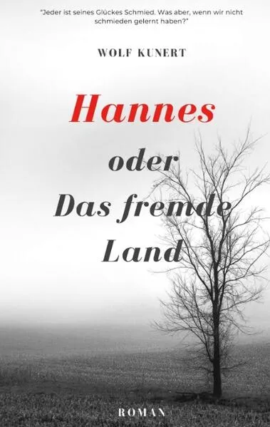 Cover: Hannes oder Das fremde Land