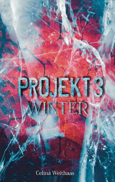 Winter - Projekt III