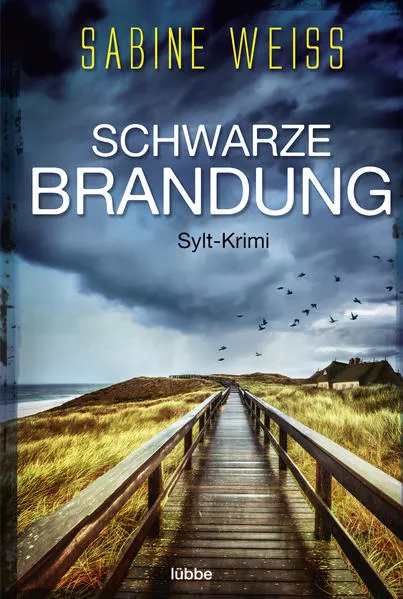 Cover: Schwarze Brandung