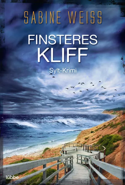 Cover: Finsteres Kliff