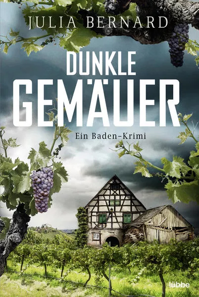 Cover: Dunkle Gemäuer
