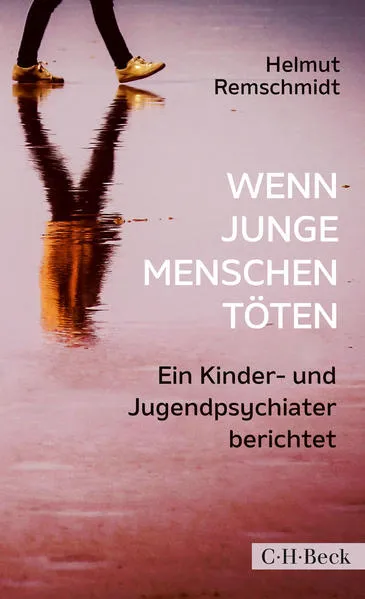 Cover: Wenn junge Menschen töten