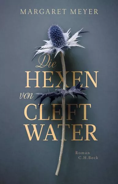 Cover: Die Hexen von Cleftwater