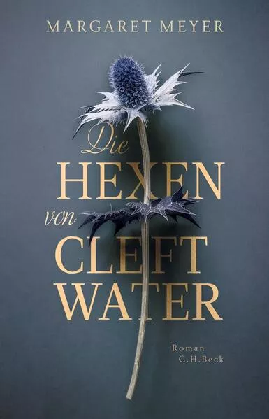 Die Hexen von Cleftwater</a>