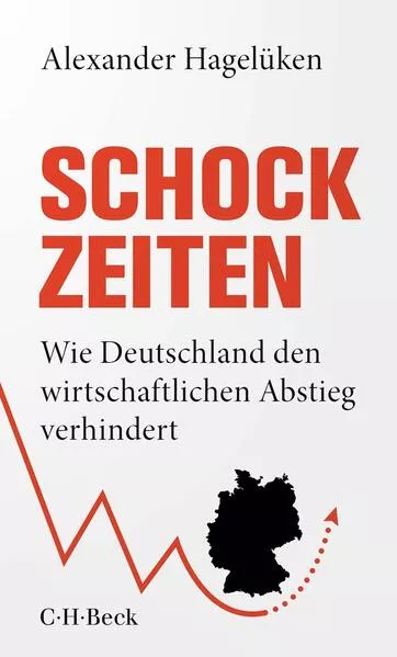 Cover: Schock-Zeiten