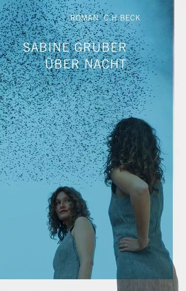 Cover: Über Nacht