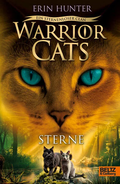 Warrior Cats - Ein sternenloser Clan. Sterne