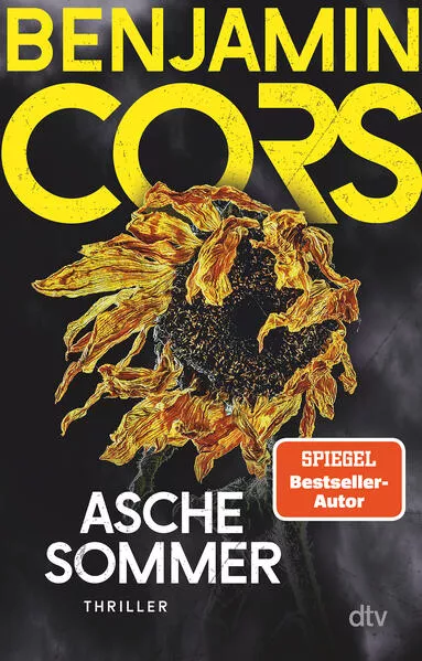 Cover: Aschesommer