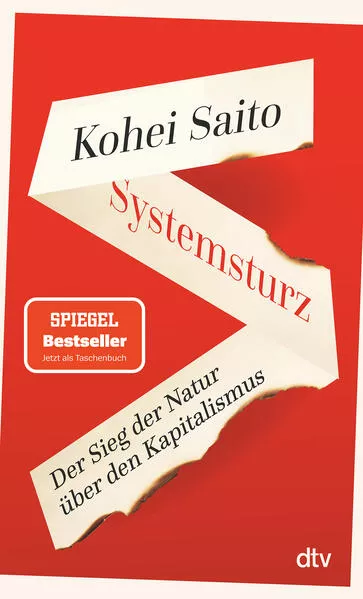 Cover: Systemsturz