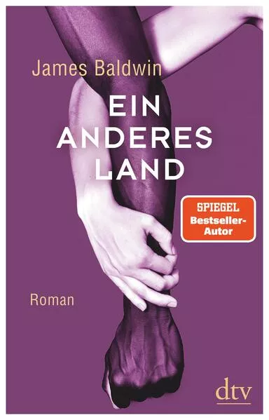 Cover: Ein anderes Land