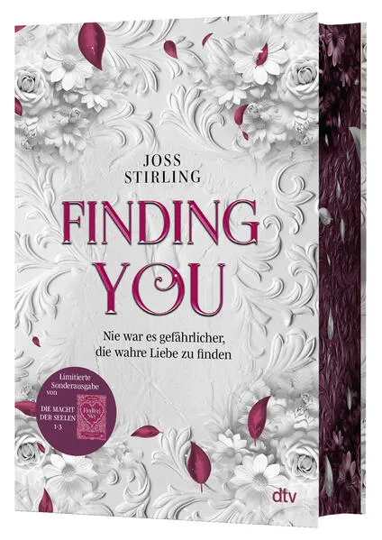 Cover: Finding You – Die Macht der Seelen