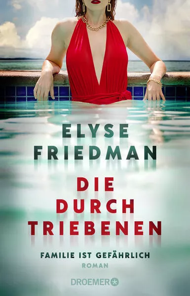 Cover: Die Durchtriebenen