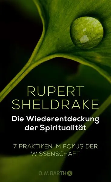 Cover: Die Wiederentdeckung der Spiritualität