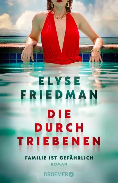 Cover: Die Durchtriebenen