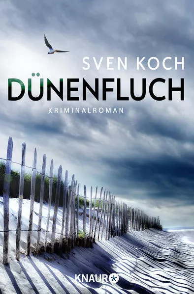Cover: Dünenfluch