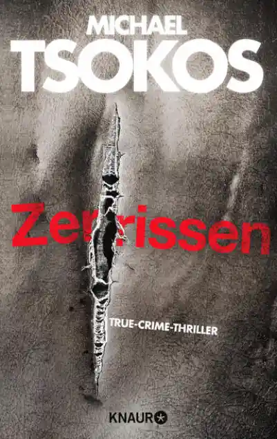 Cover: Zerrissen
