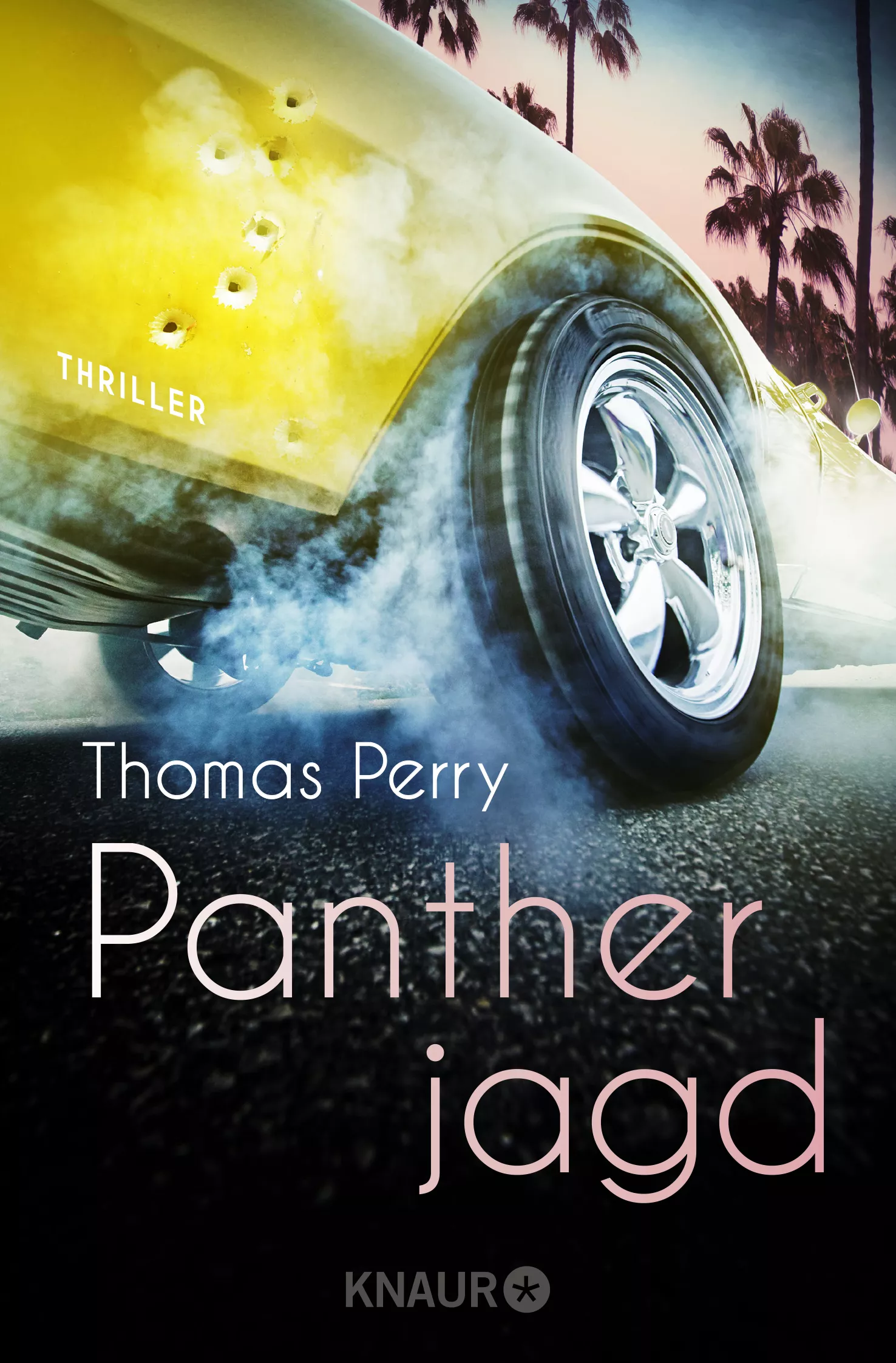 Cover: Pantherjagd
