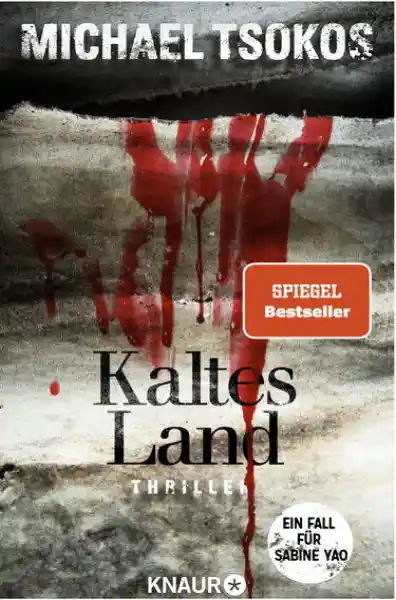 Cover: Kaltes Land