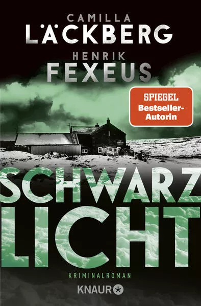 Cover: Schwarzlicht