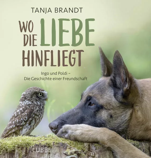 Cover: Wo die Liebe hinfliegt