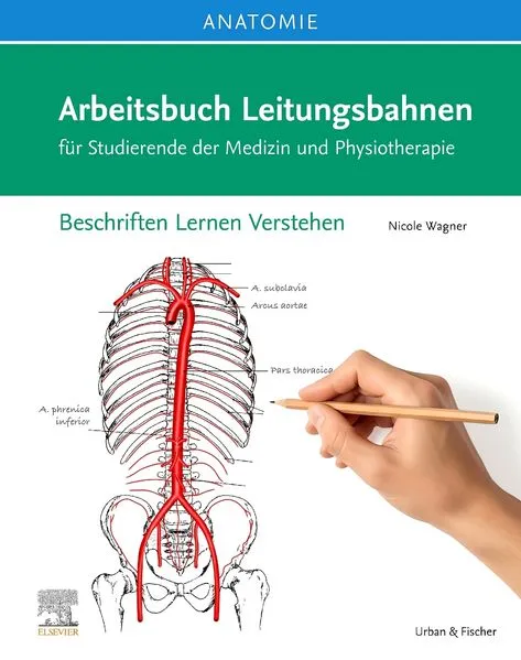 Anatomie Arbeitsbuch Leitungsbahnen für Studierende der Medizin und Physiotherapie