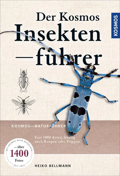Cover: Der KOSMOS Insektenführer