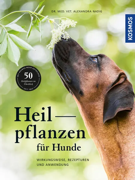 Cover: Heilpflanzen für Hunde