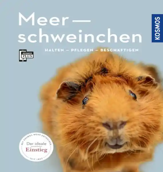 Cover: Meerschweinchen