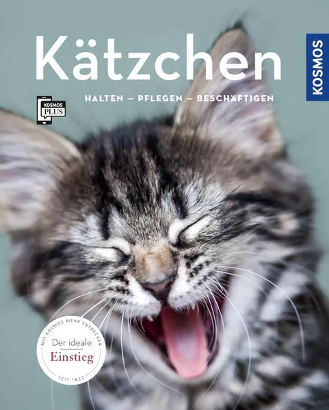 Cover: Kätzchen