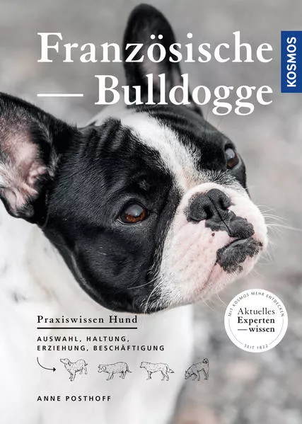 Cover: Französische Bulldogge
