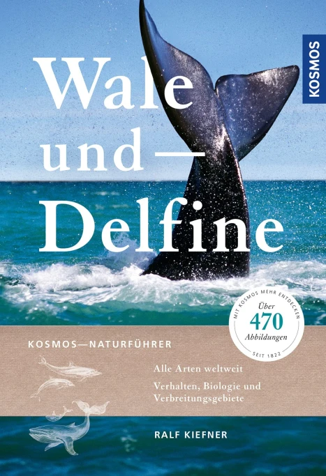 Cover: Wale und Delfine