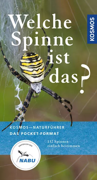 Cover: Welche Spinne ist das?