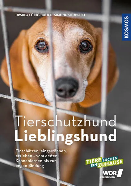 Cover: Tierschutzhund Lieblingshund