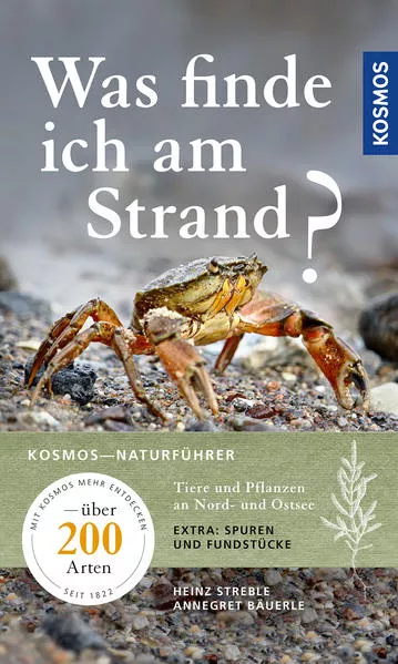 Cover: Was finde ich am Strand?