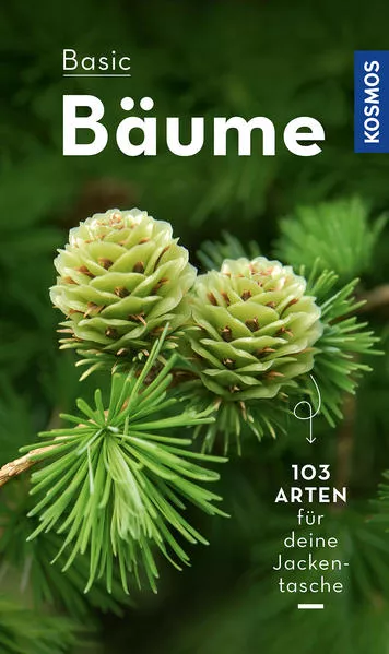 Cover: BASIC Bäume