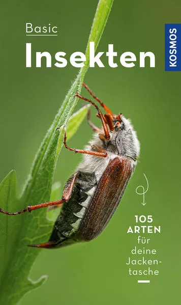 Cover: BASIC Insekten