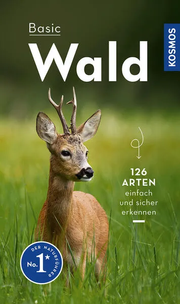 Basic Wald</a>