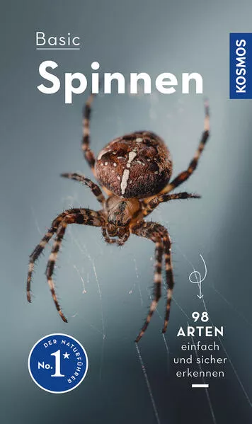 Cover: Basic Spinnen