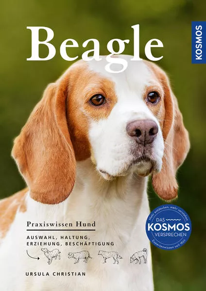 Cover: Beagle