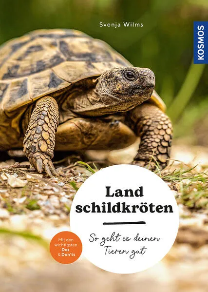 Cover: Landschildkröten