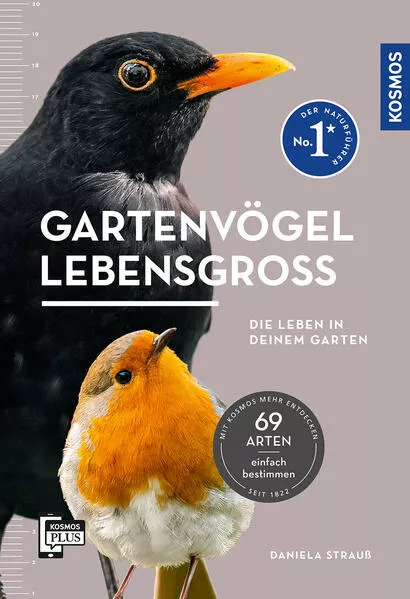 Gartenvögel lebensgroß</a>