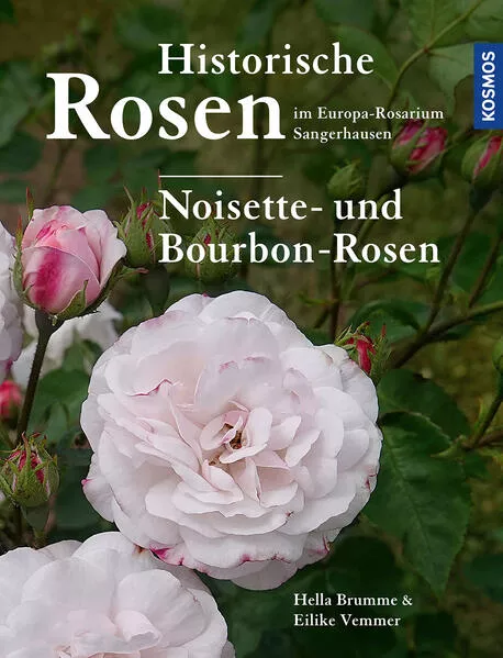 Cover: Historische Rosen im Europa Rosarium Sangerhausen: Noisette- und Bourbon-Rosen