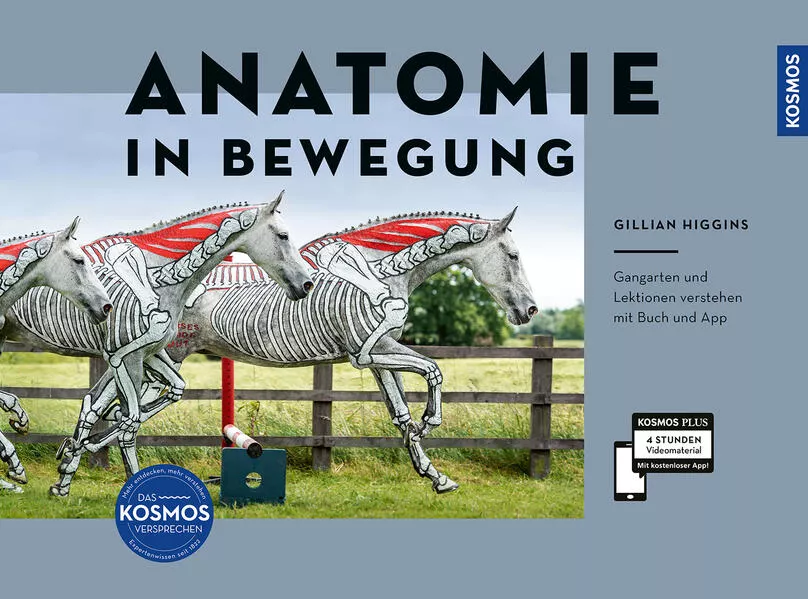 Cover: Anatomie in Bewegung